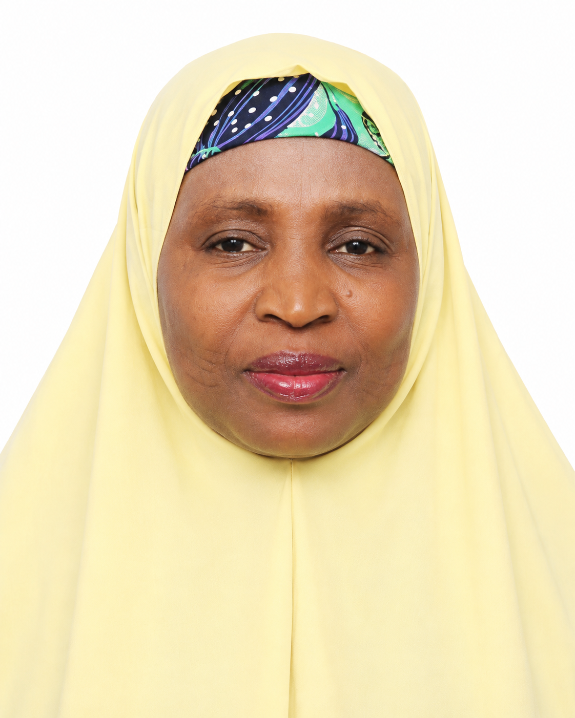 Maijidda Muhammad Ahmad, Chief Executive Officer